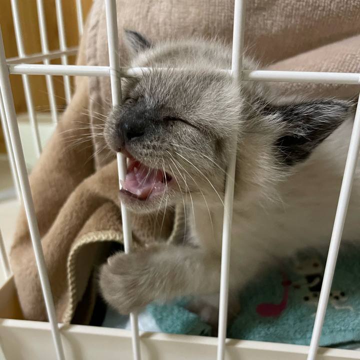 02763f05 a1a6 4cea 82d1 1bbd2eb9079f 1685133273025