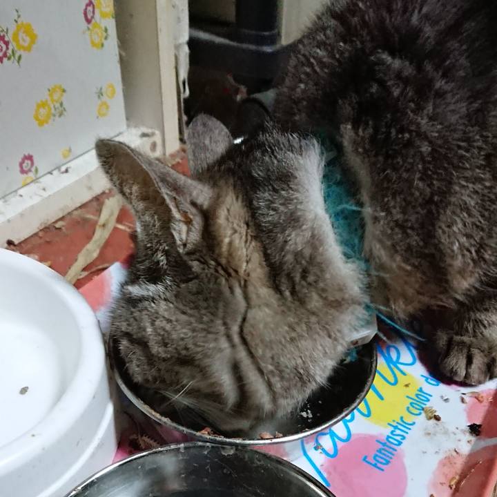 02763fd8 ee37 4b1f b3d1 4497a39443ae 1551345461415