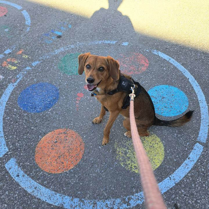 02765e4d 4b45 4cde a6bf 18d5f1e5f667 1760357521594