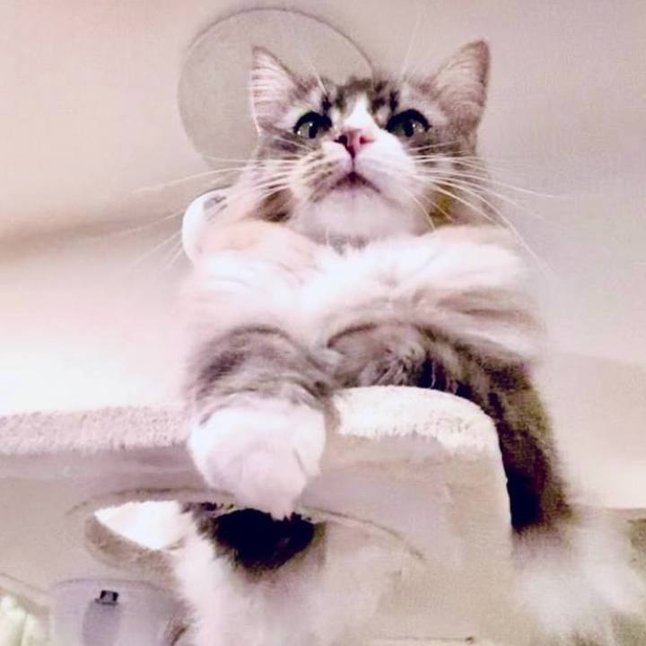 027683b1 14e2 4404 8529 cb07bef36b11 1760197719895