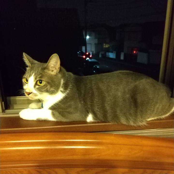 0276d809 9e12 44d4 872d 14ef74f3a9cb 1598967339357