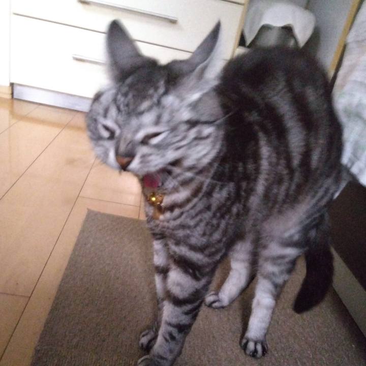 0276e9be 75d2 473b a24b d7c7d2ac9896 1764802342774