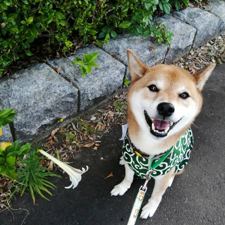 02771b76 aee4 4c0b b41b edd11a22b478 1628235993283