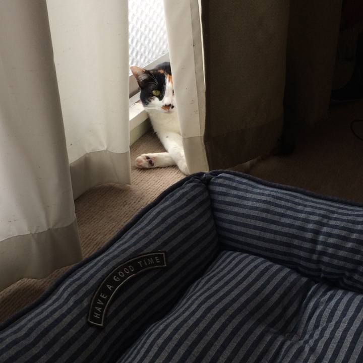 02771cdb 0f6a 4a34 b9a7 556380e468ea 1591700980255