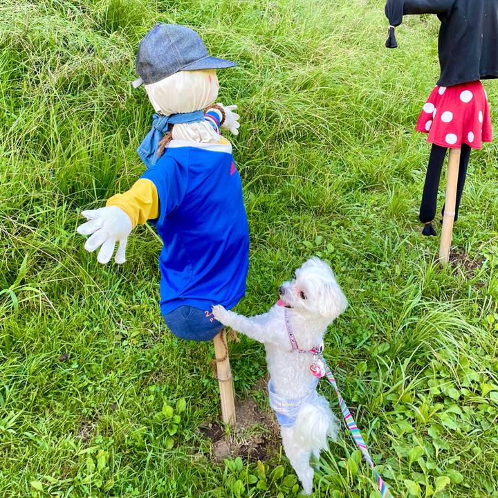 0277762e 96a6 4b3a 9648 fae1f0d53bf2 1632454266301