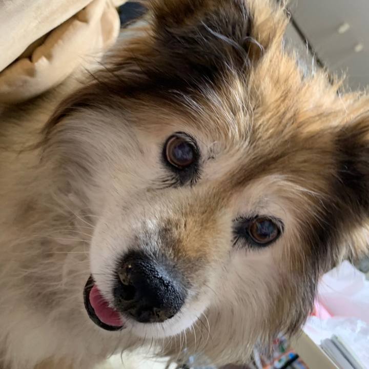 027776f0 6886 4125 bb97 c5a384edc757 1568380265635