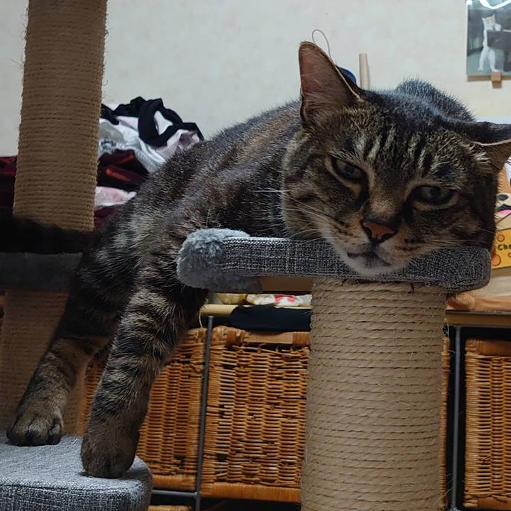 0277ad6f f4c1 4b22 af33 969d694a40d5 1688122405360