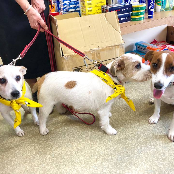 0277ef56 9a77 48b1 a11a 838ad725f255 1539774553547