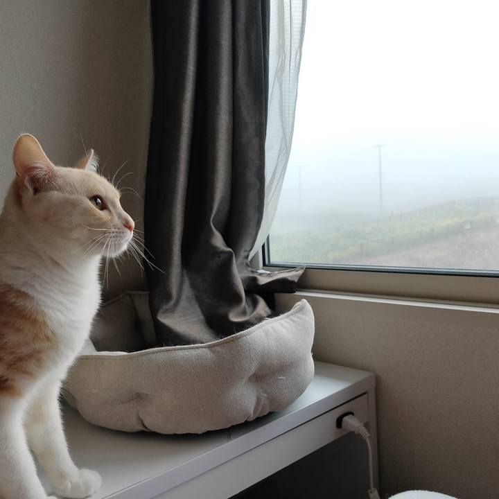 02781ee4 733f 47eb 96a3 e74359825559 1667341137438