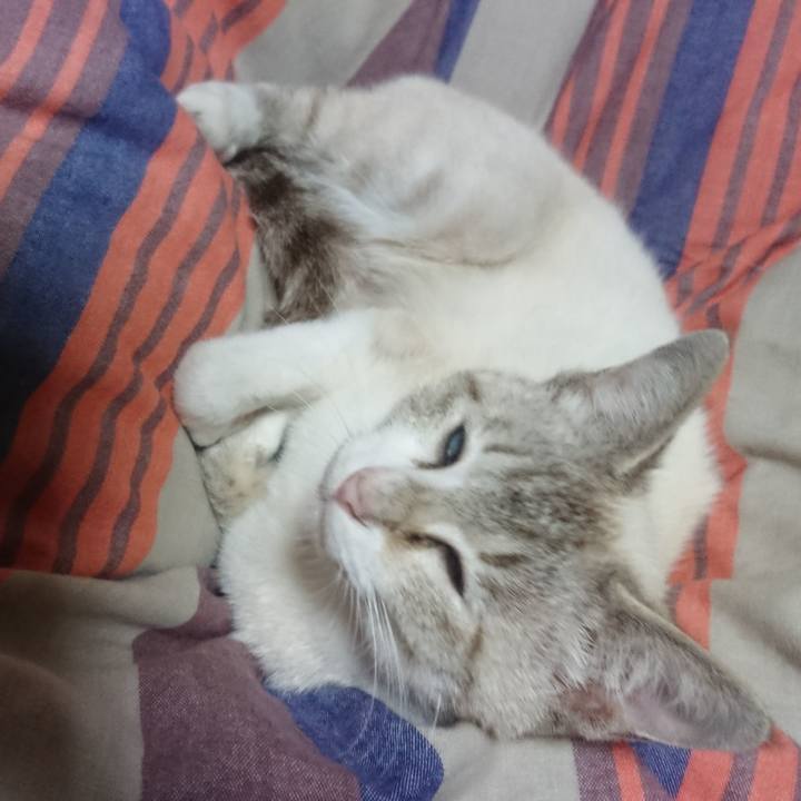 0278451e 1f7c 46ac becf ec3ea130b4de 1525794503009