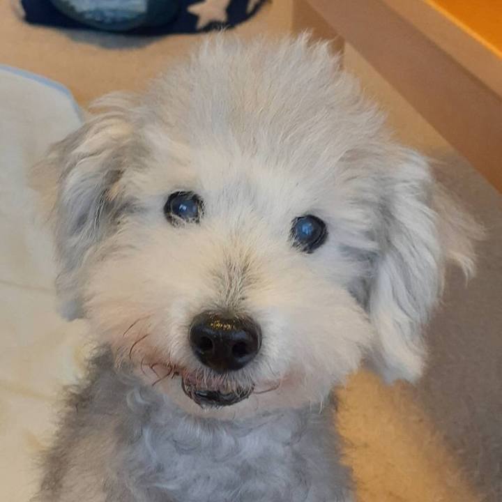 027874aa 80c1 4f16 a7d7 ef3ebbb83111 1636710489056