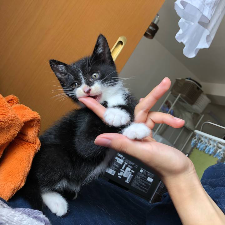 0278a440 231c 4d36 8a3a cd8d5777ffb3 1537789548991