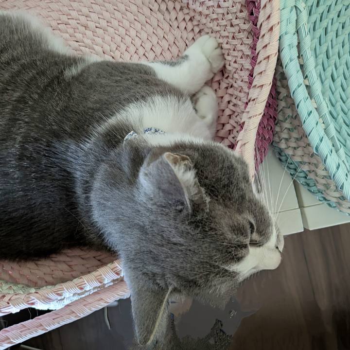 0278abb7 8796 4890 bdf7 bbd359eae9bf 1754614013642