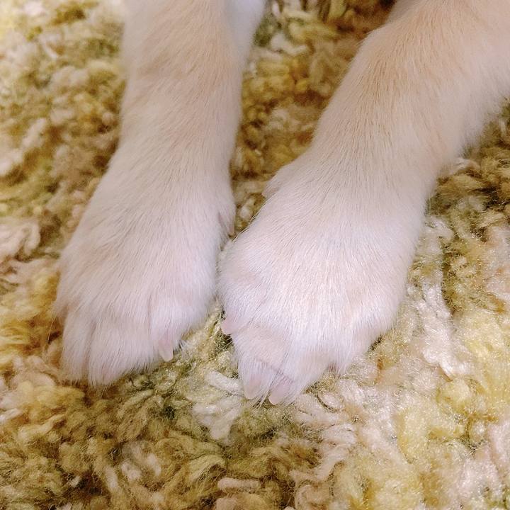 0278f232 3ebb 4fc0 be93 5c26c76c221e 1590486120881