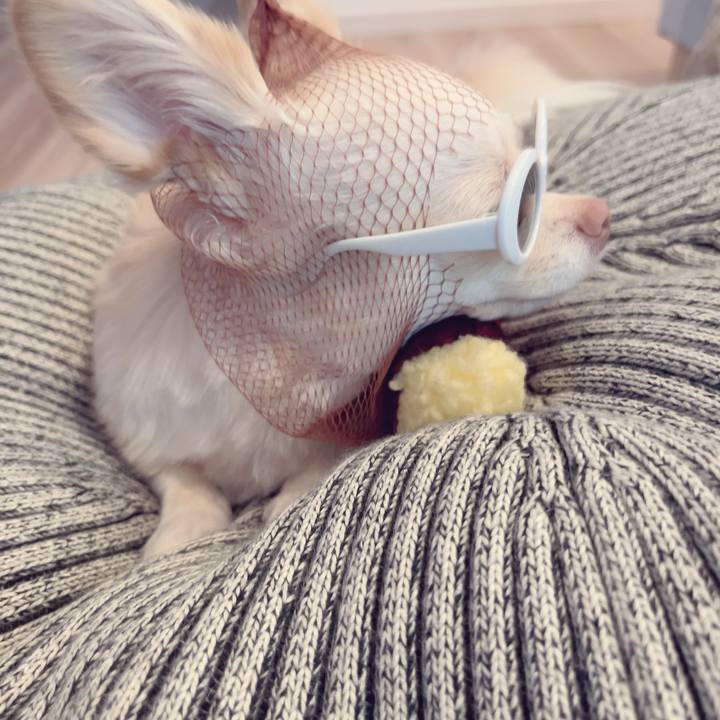 02791d9e 82f0 4493 91e2 3658ecbb41f2 1695205172810