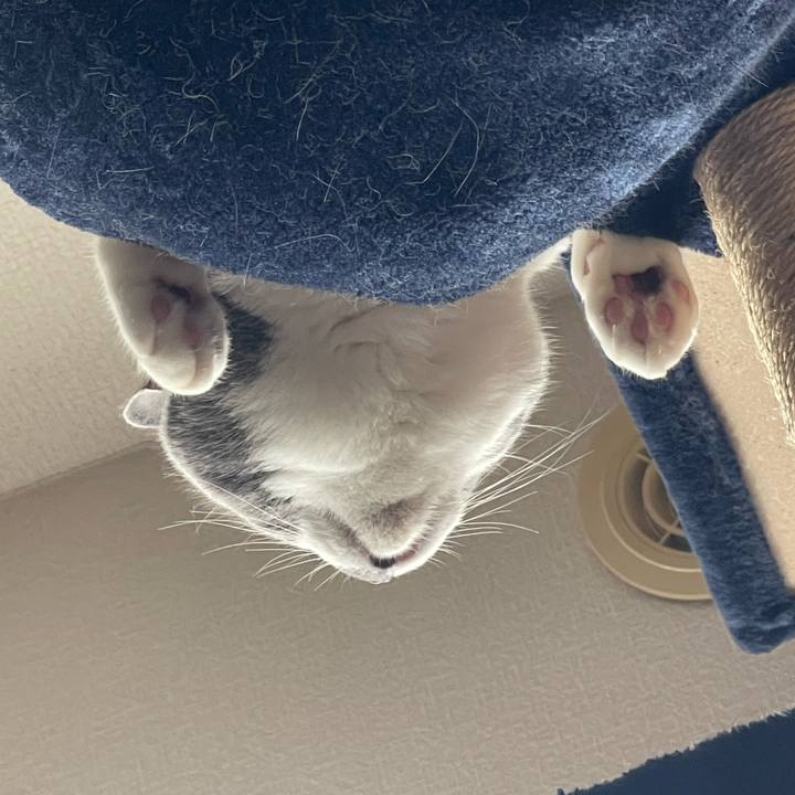 02795b52 1c6c 4269 a69f ed53c56afdd5 1721005075186