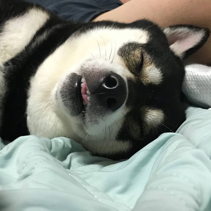 02797d48 dba7 4597 9dd3 dc70521c2ed3 1531152513941