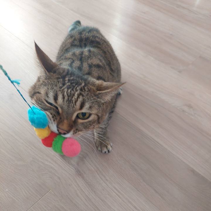 027984d1 2a84 4dca 84a4 85c99c17ce2a 1733527803624