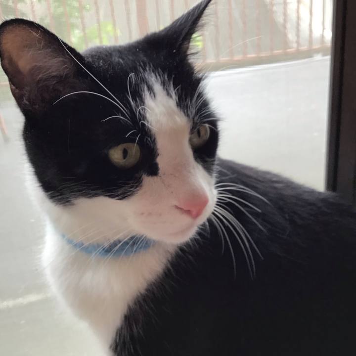 0279e544 96fb 4f0c a10e 304b12d12294 1750675345455