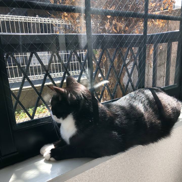 027a13cc ccf0 4173 9744 d495827e329b 1521007652945