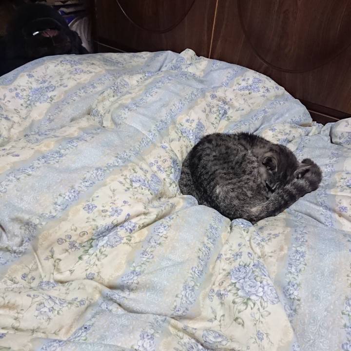 027a25df 9f87 462e b259 4f1f72d0ad2b 1587814133687