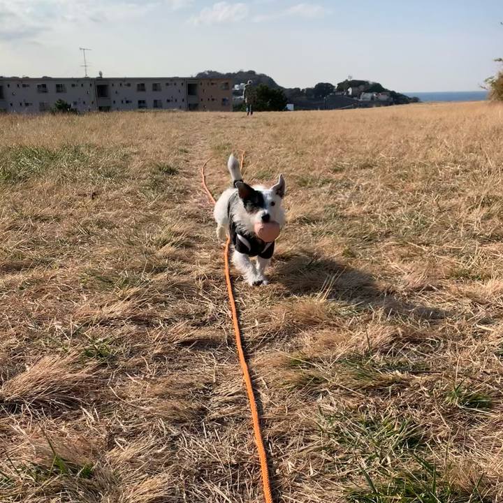 027a500d 40ac 4159 95de c65b47c927e9 1737596053401