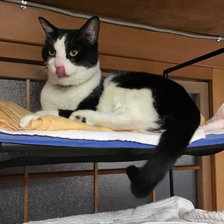 027a7159 deeb 4bde bc56 dca0bafdd041 1701756590857