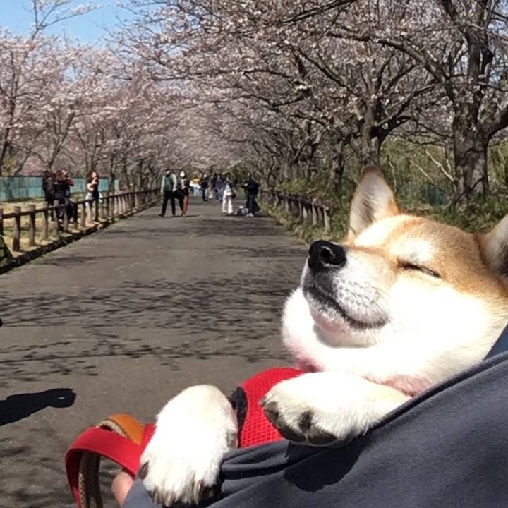 027a8679 f045 483c 962c 0d8776bc699a 1590807657715