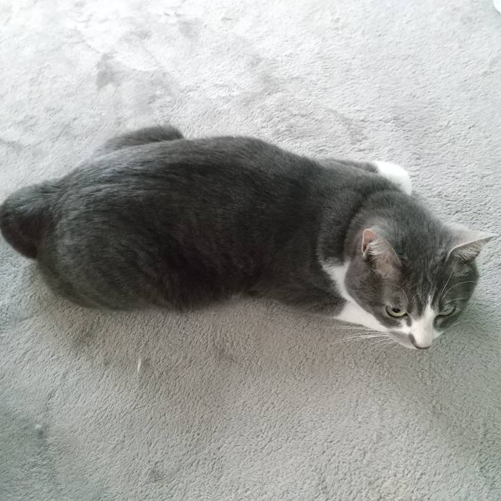 027ae7d5 2d11 467b 83b8 6c516850d342 1652306107430