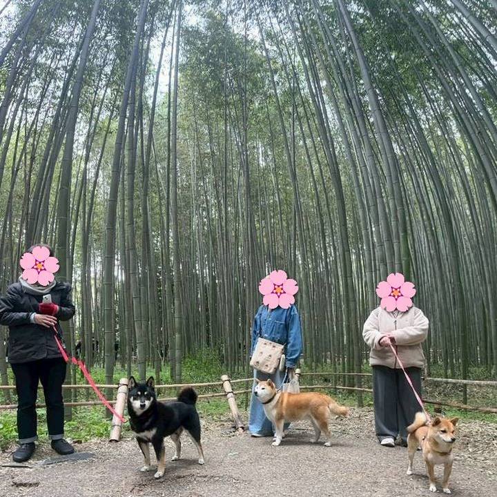 027b298d d227 4aa2 bbaa 328c67b2af7a 1773573451196