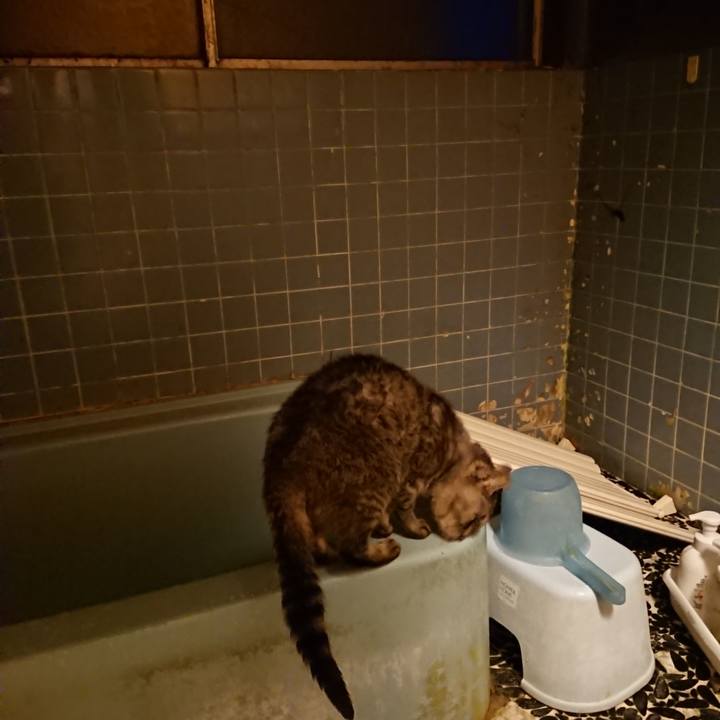 027b3a06 1435 464f 8d5c 56a3209bcb76 1573374109040