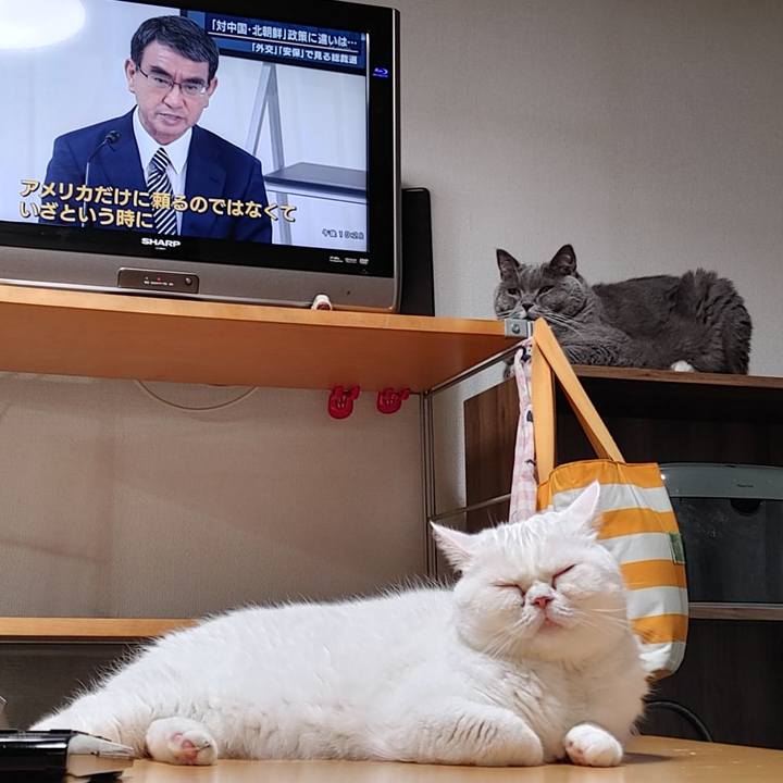 027b6377 67cd 4fa0 867f 5e4a8aea0e41 1632490257580