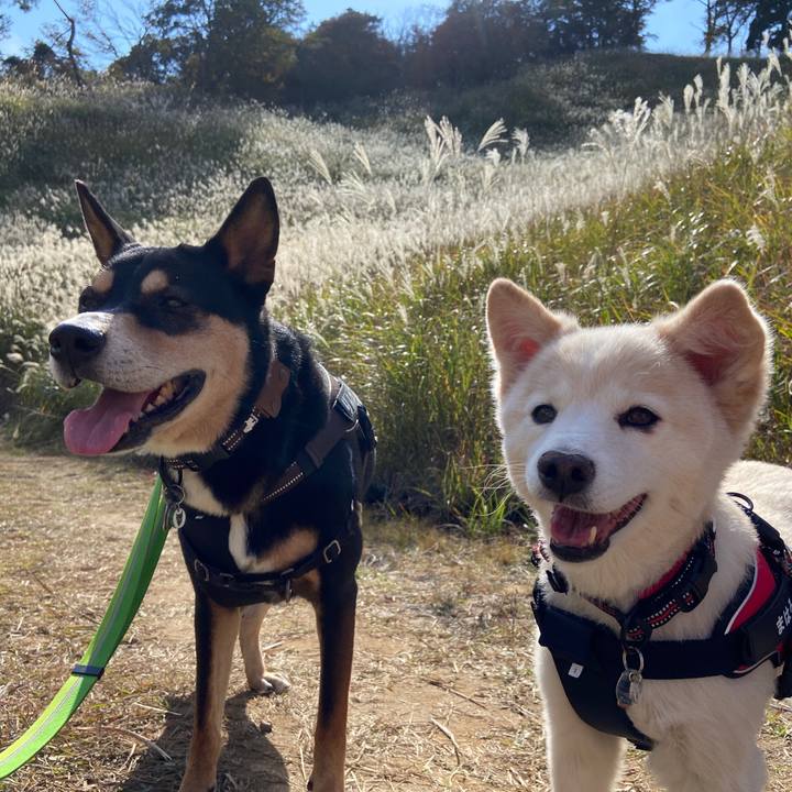 027b77be 82ee 4a27 8bf1 ec1e5b200254 1698368458679