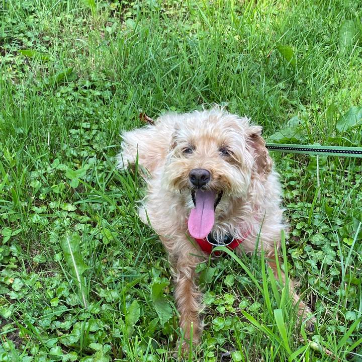 027b7826 1bb0 4f7a 9a68 a6e9511903a7 1687770722074