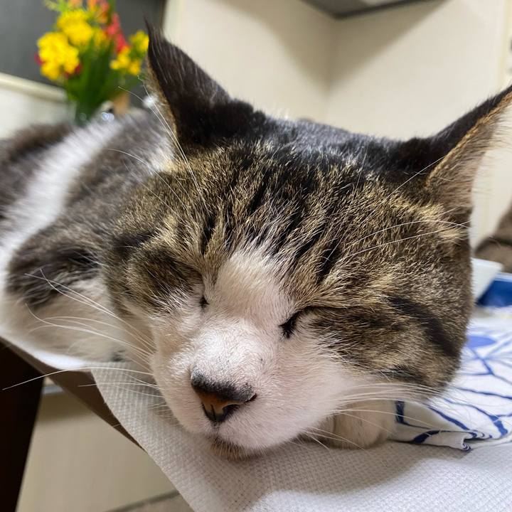 027baa1f d0e6 46ff 9764 fab7515b21d3 1648003409153