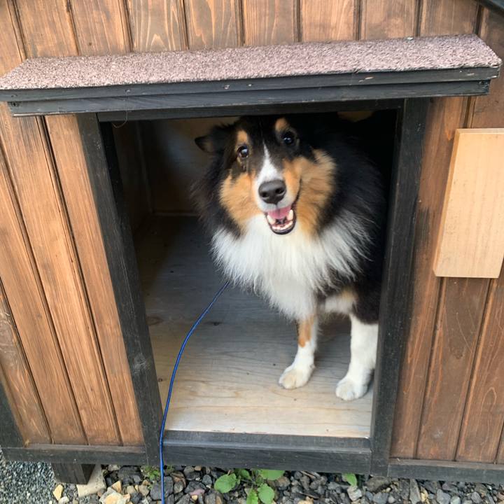 027bec79 49da 4761 b311 027d8b44a369 1572473946601