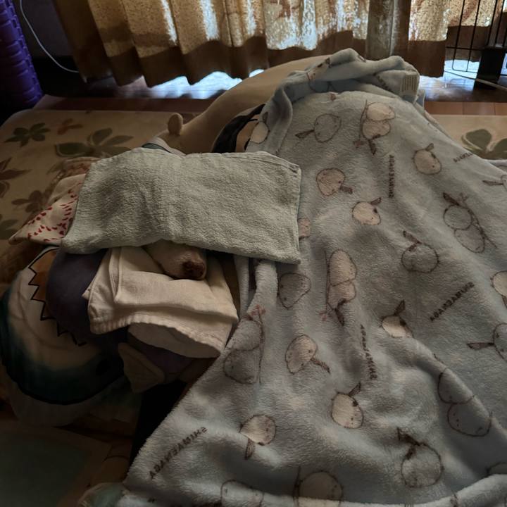 027bf987 328b 4ad8 b1d8 5ac7c39bf0c8 1702938614497