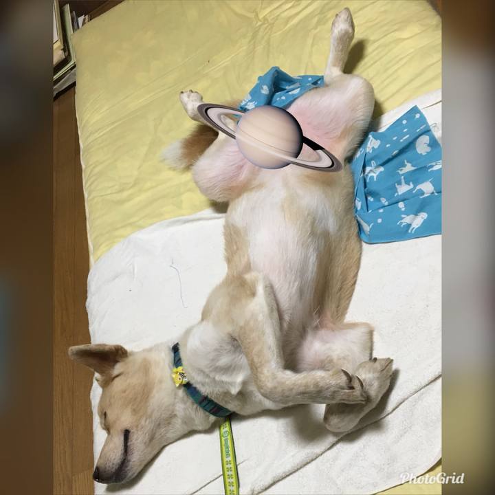 027c174a b70a 4c84 aa3c 2ec4ab6a0f23 1530021555531