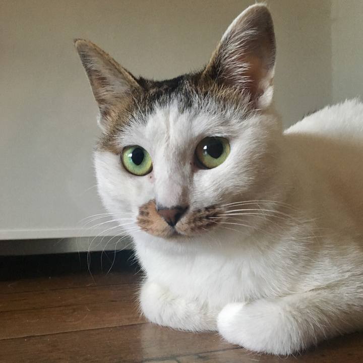 027c2cd8 43a9 4b76 add4 131f870cbc34 1514978828356