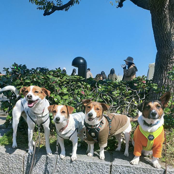 027c32d8 b05d 4568 ba34 23d90fbad85b 1774083777423