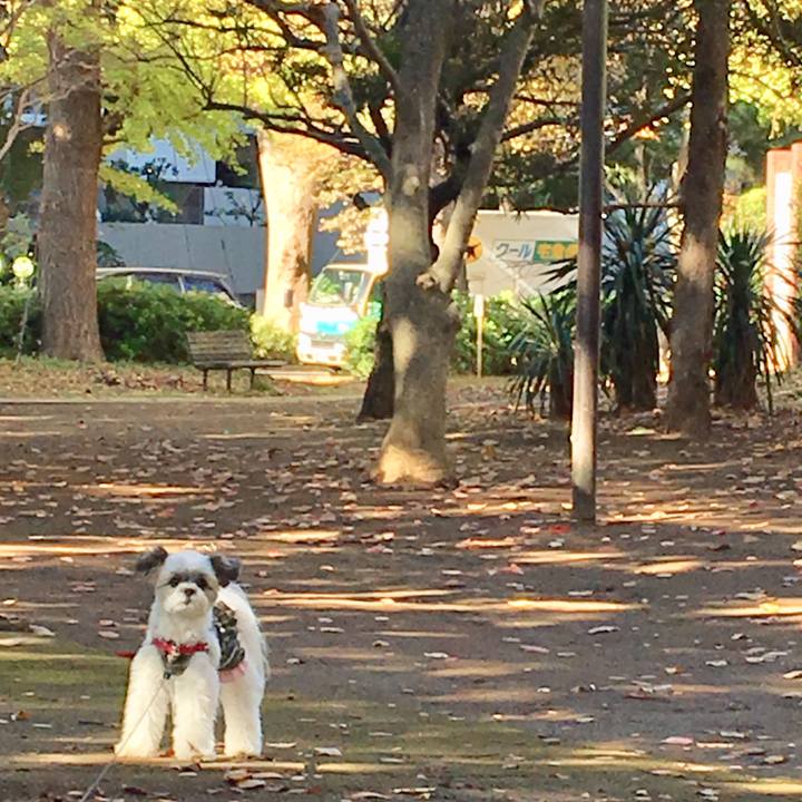 027c74d1 b627 4764 b343 1a6ad3c91484 1510959973434