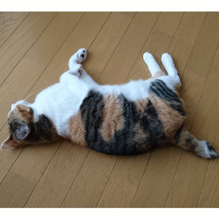 027c8a31 e746 4287 aa08 483cd6eaeb83 1553250009156