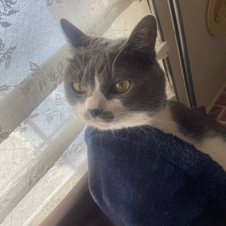 027c8e94 2659 4d77 9d99 79de3808a1c3 1731808413739