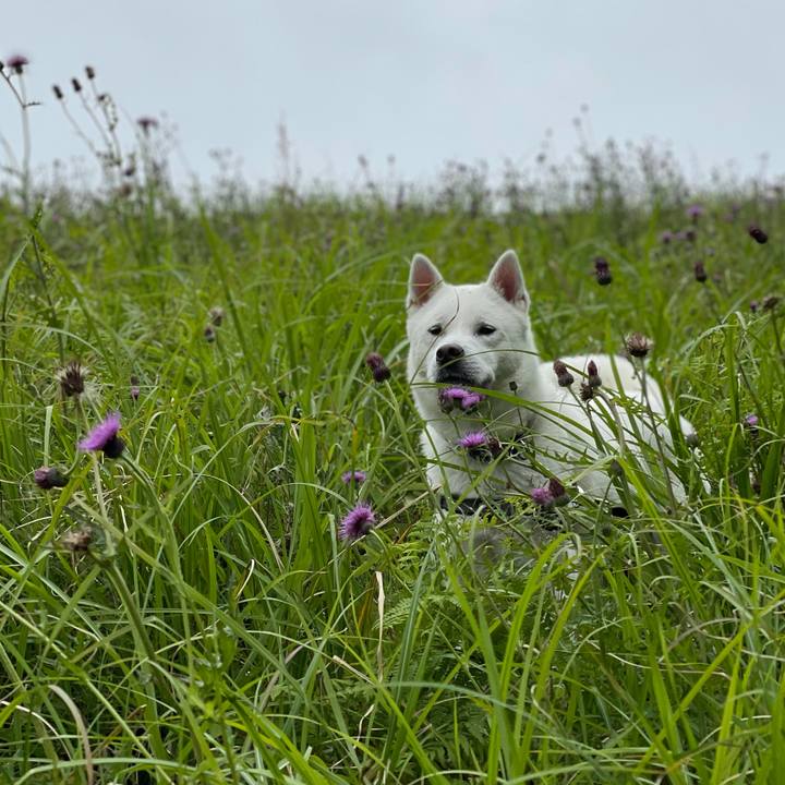 027c94a3 bbf6 4c59 a807 f5b7edc4eed1 1620443053614