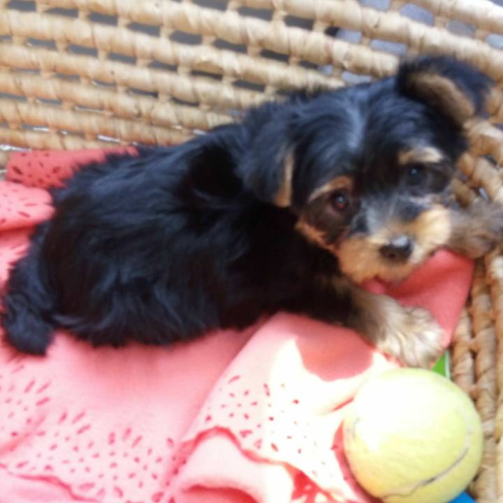 027c97d3 577a 463e 9bf4 dfd82d792ce2 1540204970610