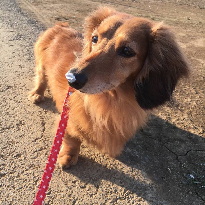 027ceac4 0a6d 484c 889c e873445de8b6 1555148930391