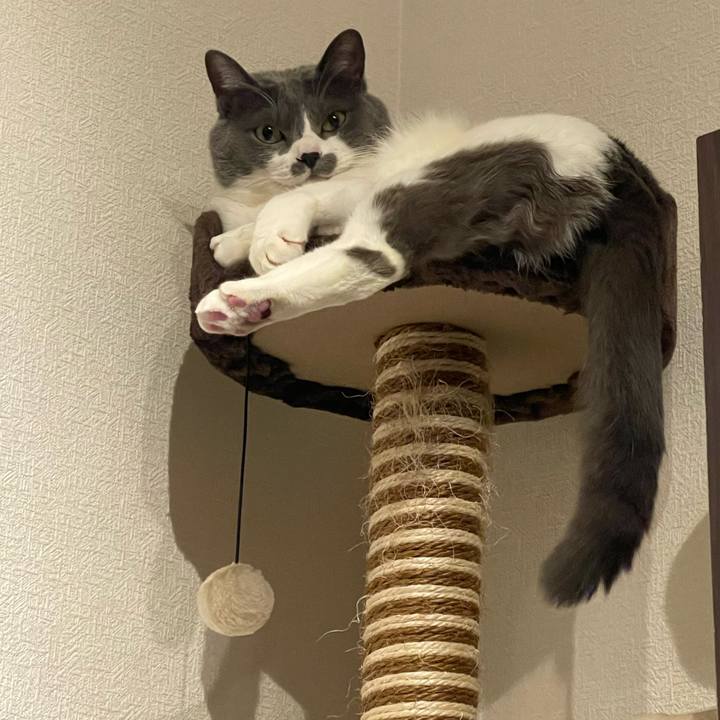 027d0879 f572 4235 9b82 e7bbc843005d 1704472309378