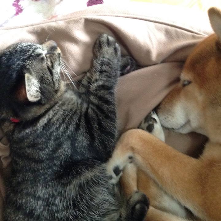 027d0b11 71c7 4e0b abc9 7d46e2b146cd 1535006212196