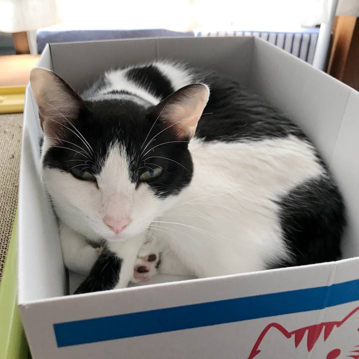 027d2efe 68e6 4eea a047 72605eaefd07 1536200052822