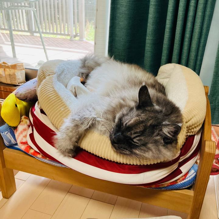 027d45f0 07ac 4a9b ab4d 43b22383d9a9 1743900959786